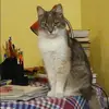 Отзыв от Мария Воронина
